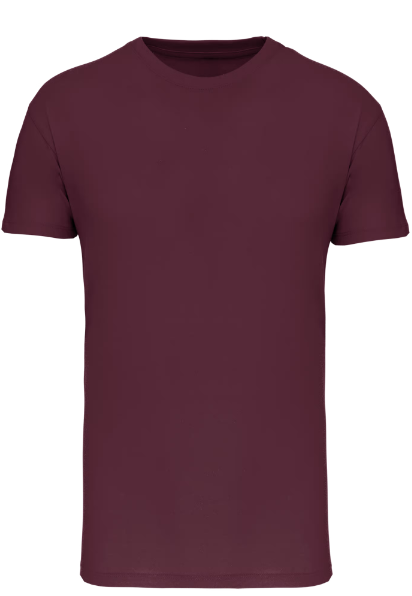 K3025IC - T-shirt Bio150IC col rond homme